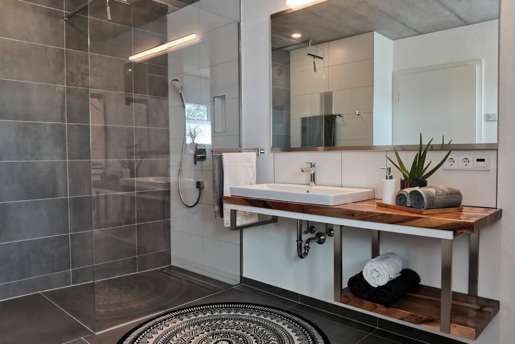 Moderne Rhenum Mit Wallbox * Waldshut-Tiengen